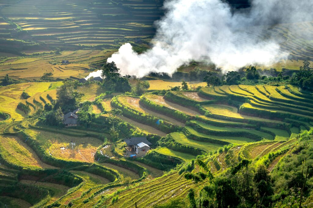 Beautiful aerial shot of terraced rice fields with smoke wafting over them in the early morning light.
