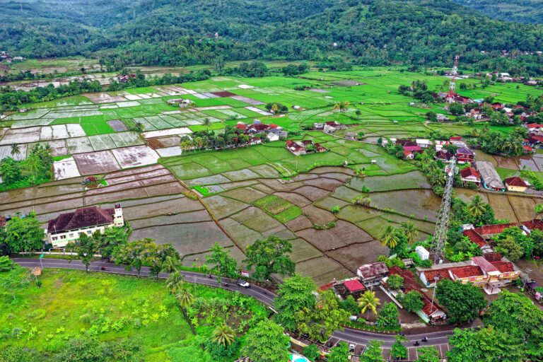 Stunning aerial view of lush green rice fields in Pelabuhan Ratu, Indonesia.