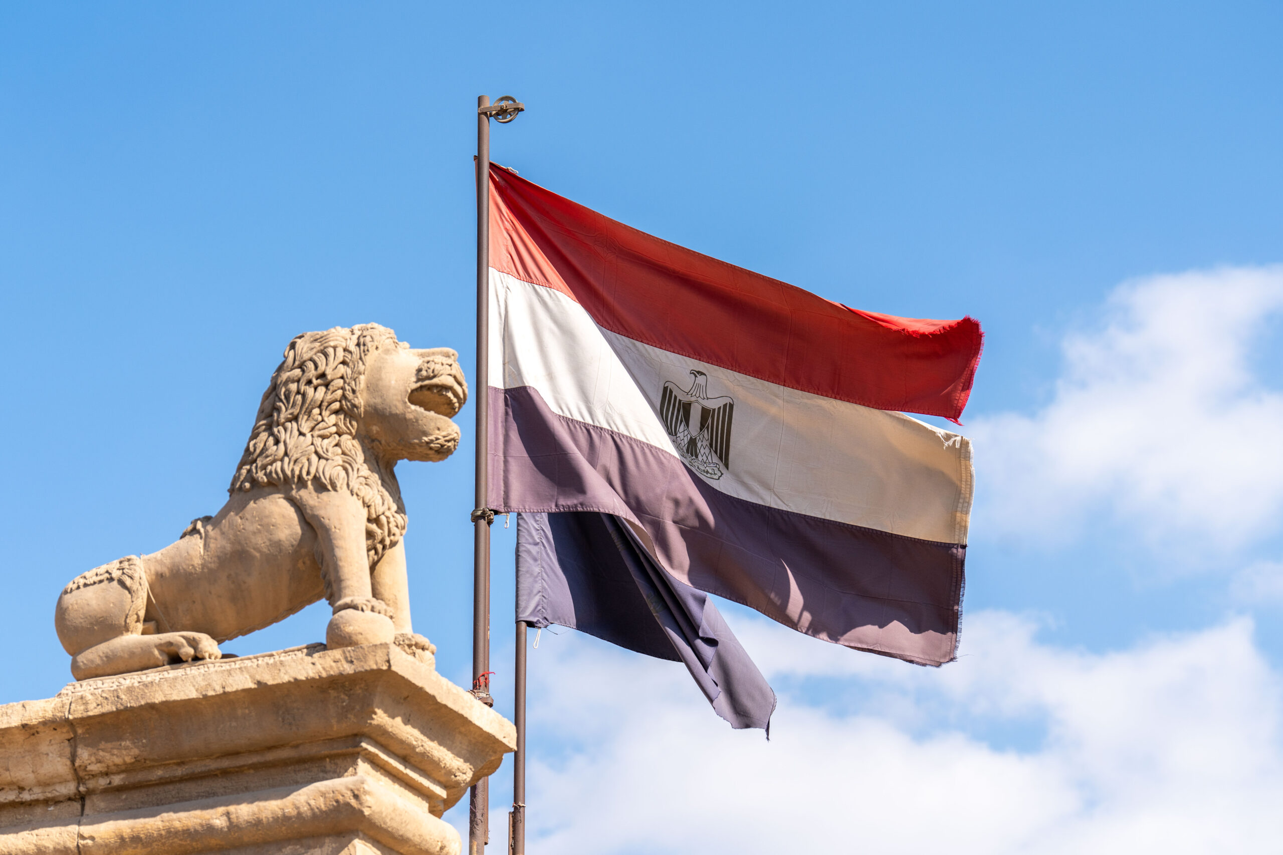 cairo 406