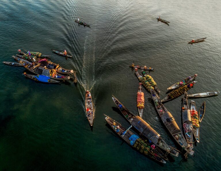 boats, nature, market, fisherman, river, vietnam, water