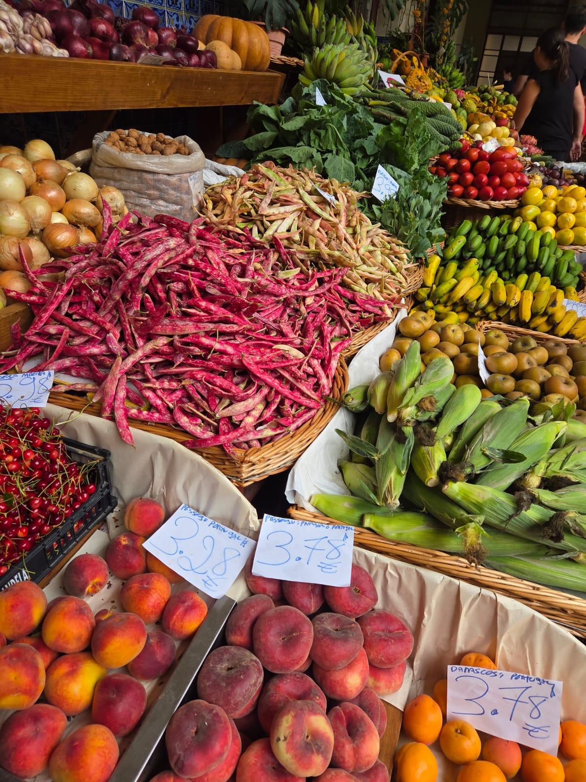 Madeira study trip, June 2025