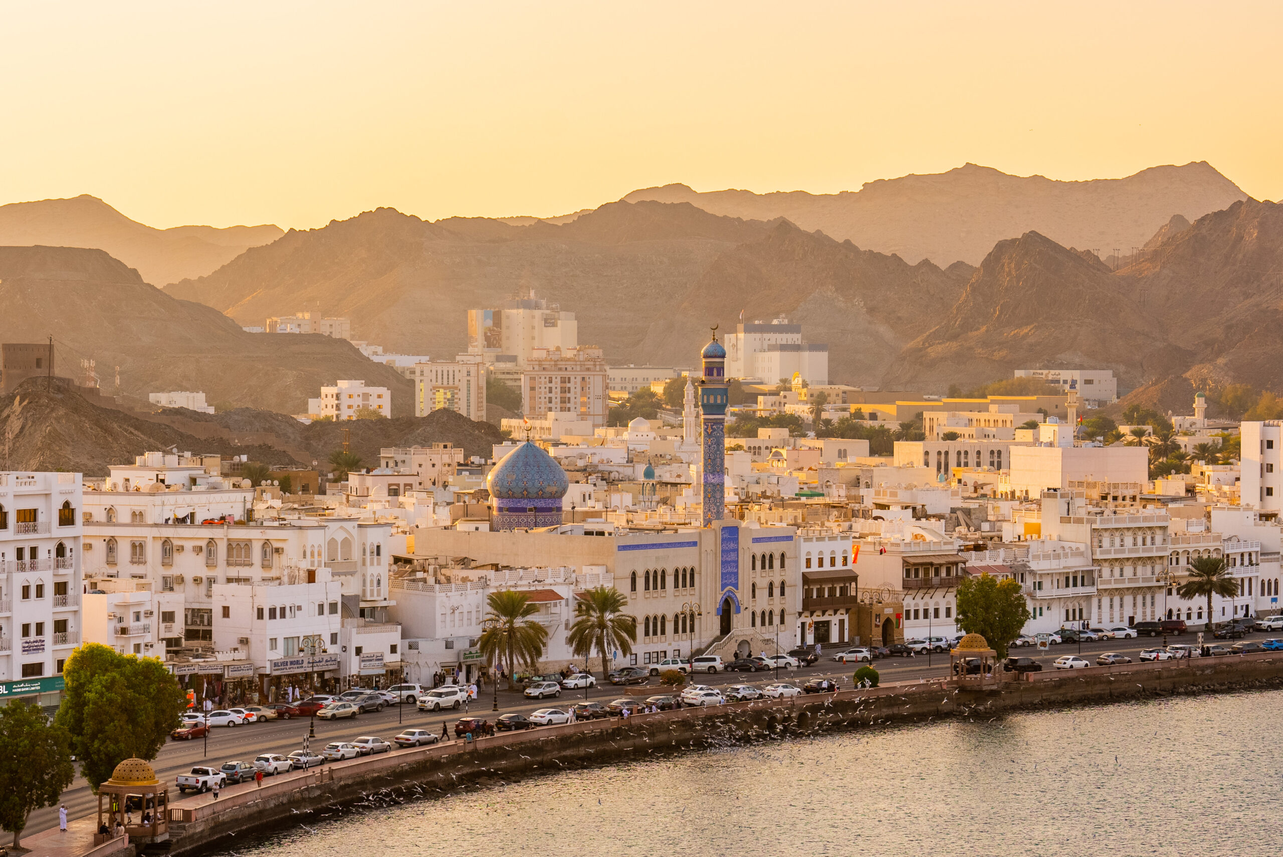 Al Maamari Tours